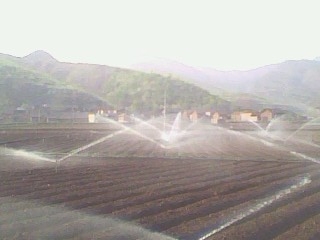 浙江東方集團(tuán)--云南百合育種基地噴灌